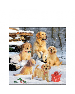 Napkin 25 Golden retriever puppies FSC Mix