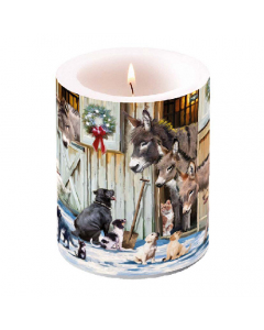 Candle big Animal friends