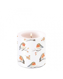 Candle small Robin family