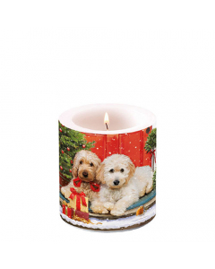 Candle small Dogs at the door