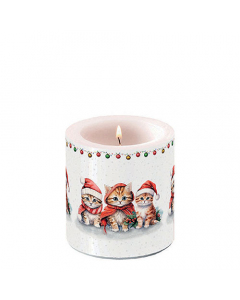 Candle small Funny cute kittens
