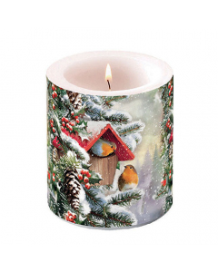 Candle medium House with robins