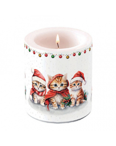 Candle medium Funny cute kittens