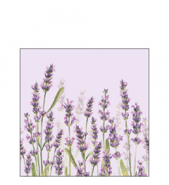 Napkin 25 Lavender shades lila FSC Mix