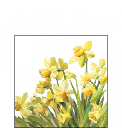 Napkin 25 Golden daffodils FSC Mix