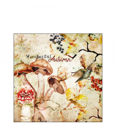 Napkin 25 Wonderful autumn FSC Mix