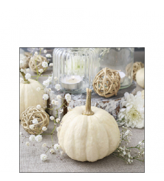 Napkin 25 Modern pumpkin FSC Mix