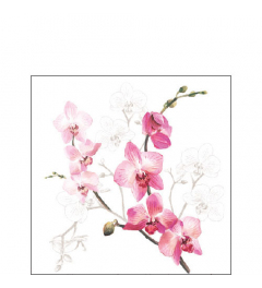 Napkin 25 Orchid FSC Mix