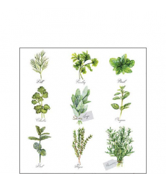 Napkin 25 Herb selection FSC Mix