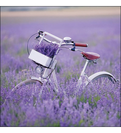 Napkin 33 Bike in lavender field FSC Mix