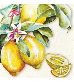 Napkin 33 Sunny lemon FSC Mix