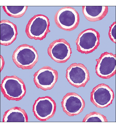 Napkin 33 Amara purple FSC Mix