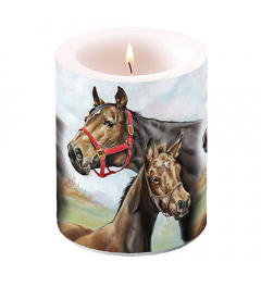 Candle big Horse love