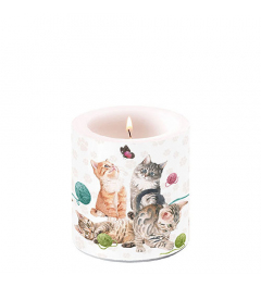 Candle small Playing kitten