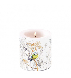 Candle small Sweet little bird