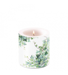Candle small Hedera