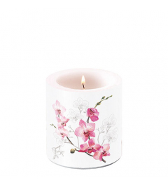 Candle small Orchid