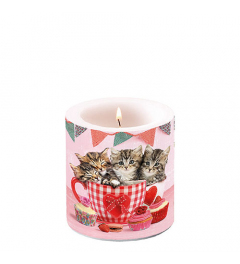 Candle small Cats in tea cups
