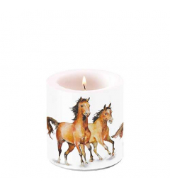 Candle small Wild horses