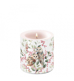 Candle small Barn owl couple white