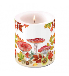 Candle medium Fly agaric group