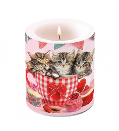 Candle medium Cats in tea cups
