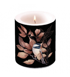 Candle medium Lovely chickadee black