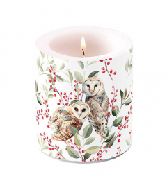 Candle medium Barn owl couple white