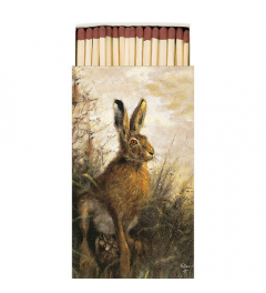 Matches Portrait of hare