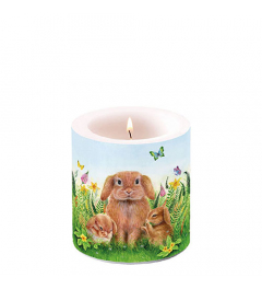 Candle small Rabbit family