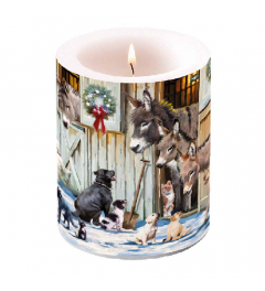 Candle big Animal friends