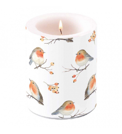 Candle big Robin family