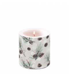 Candle small Pine cone all over