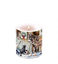 Candle small Animal friends