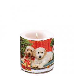 Candle small Dogs at the door