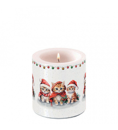 Candle small Funny cute kittens