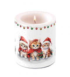 Candle medium Funny cute kittens