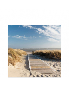 Napkin 25 Walking to the sea FSC Mix