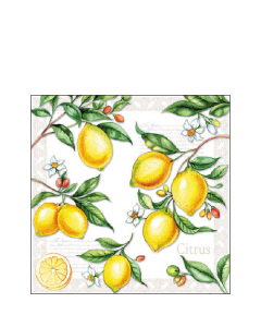 Napkin 25 Citrus FSC Mix