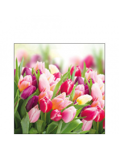 Napkin 25 Glorious tulips FSC Mix