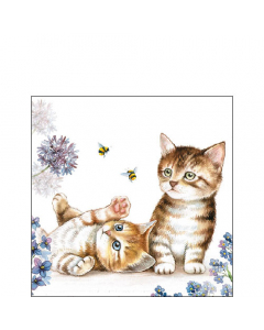 Napkin 25 Cats and bees FSC Mix