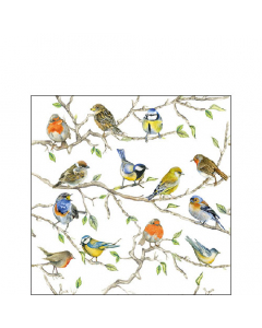 Napkin 25 Birds meeting FSC Mix