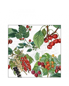 Napkin 25 Fresh fruits FSC Mix