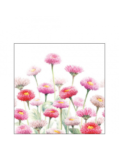 Napkin 25 Painted bellis FSC Mix