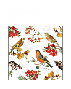 Napkin 25 Autumn birds FSC Mix