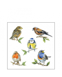 Napkin 25 Bird species white FSC Mix