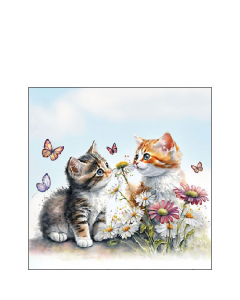 Napkin 25 Kittens in flower field FSC Mix