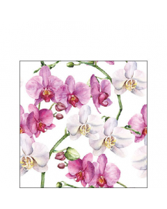 Napkin 25 Elegant orchids white FSC Mix