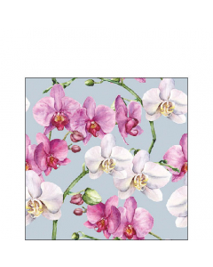 Napkin 25 Elegant orchids blue FSC Mix