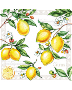 Napkin 33 Citrus FSC Mix
